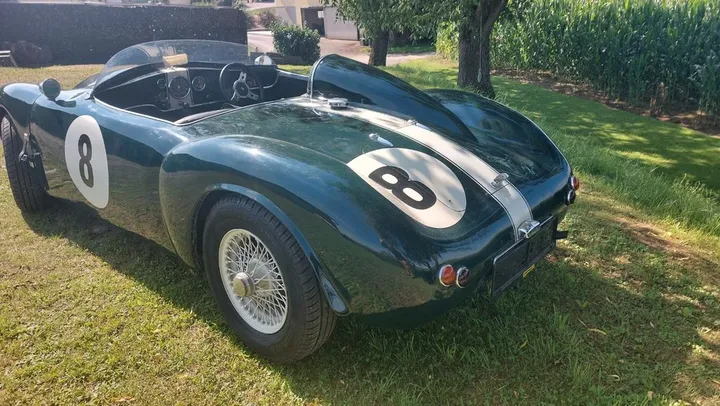 Triumph Other