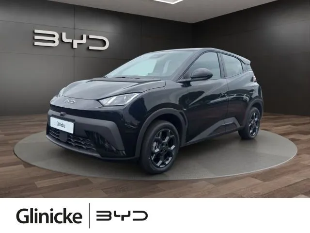 BYD DOLPHIN SURF