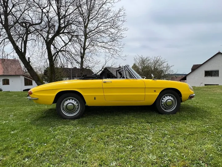 Alfa Romeo Spider