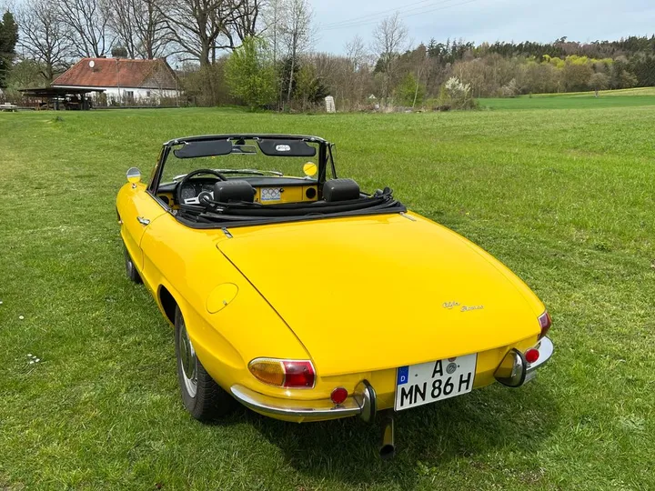 Alfa Romeo Spider