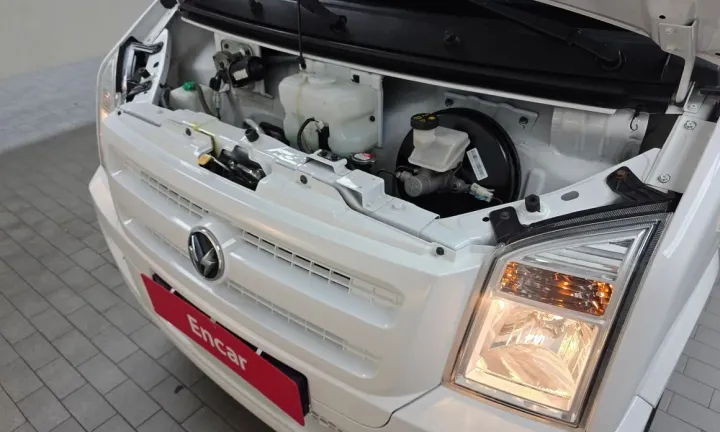DFSK C35
