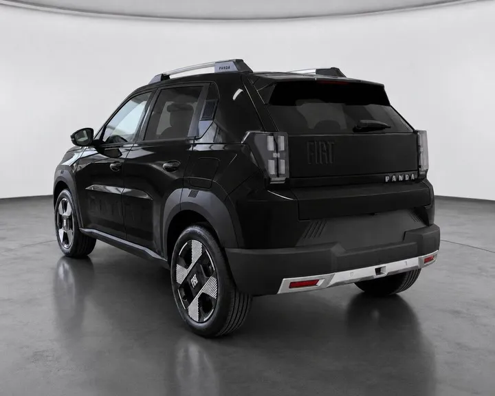 Fiat Other
