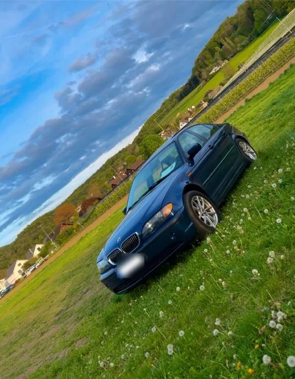 BMW 318