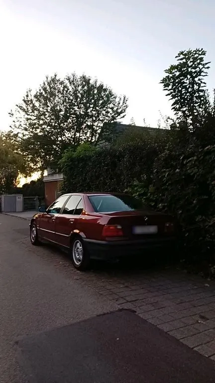 BMW 318