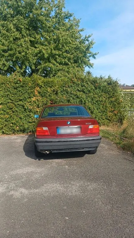 BMW 318