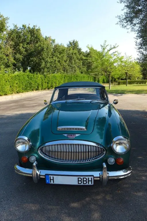 Austin Healey Other
