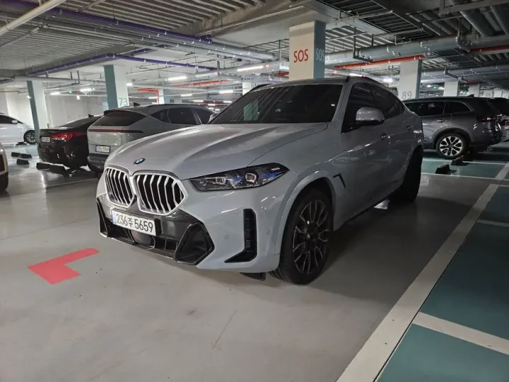 BMW X6