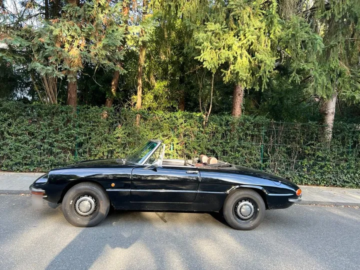 Alfa Romeo Junior