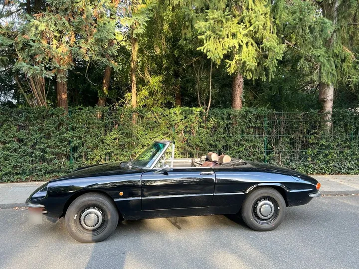 Alfa Romeo Junior