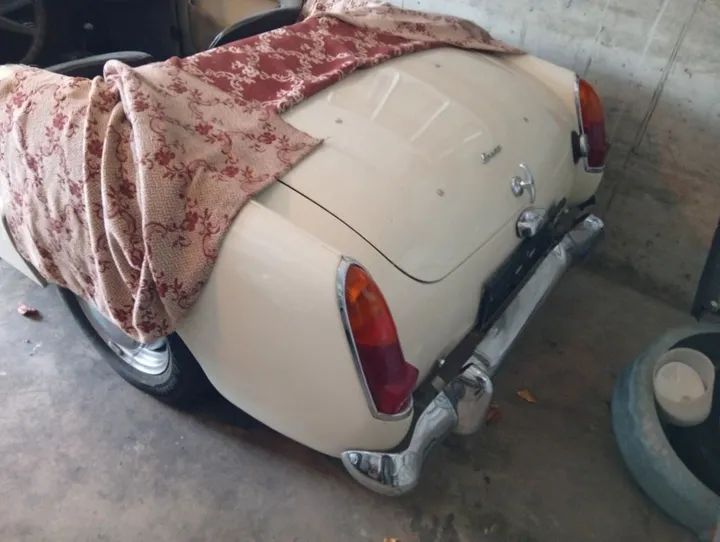 Austin Healey Other