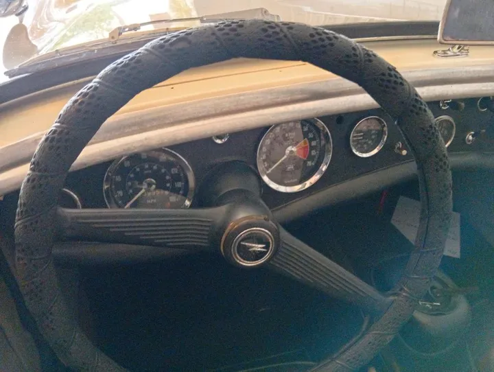 Austin Healey Other