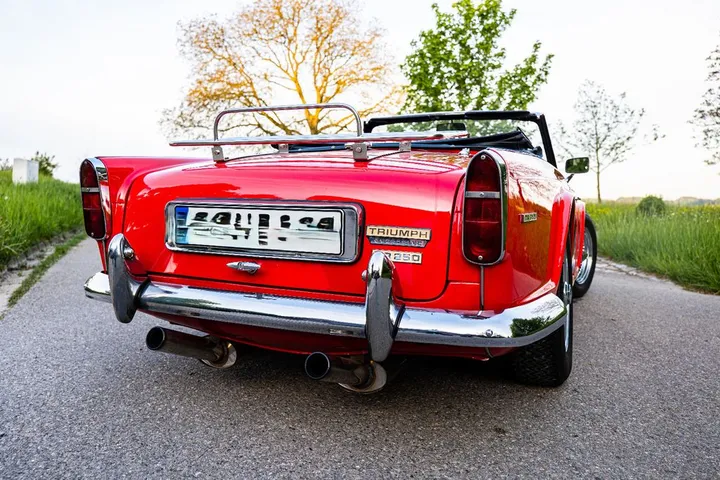 Triumph Other