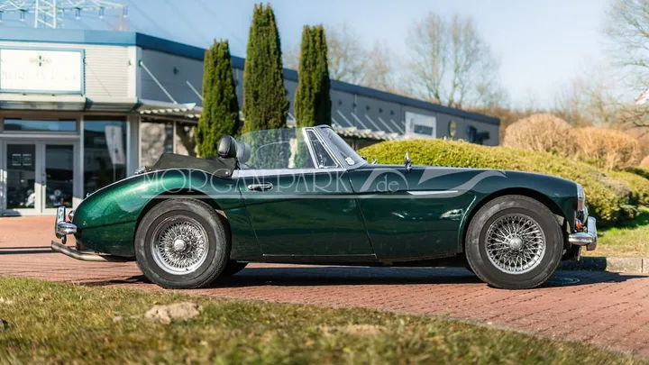 Austin Healey Other