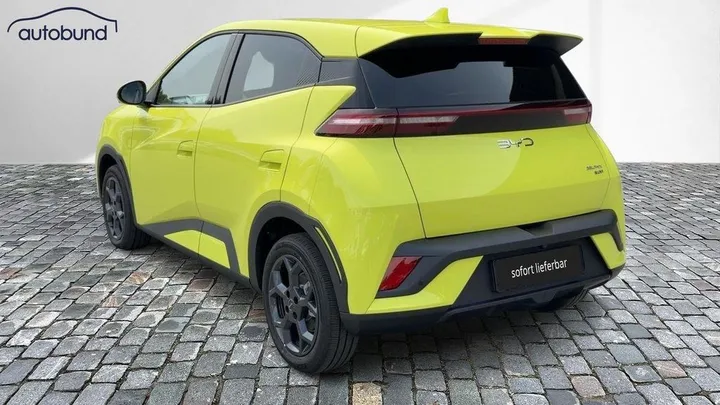 BYD DOLPHIN SURF