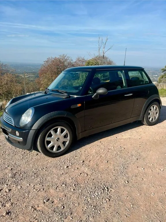 MINI ONE