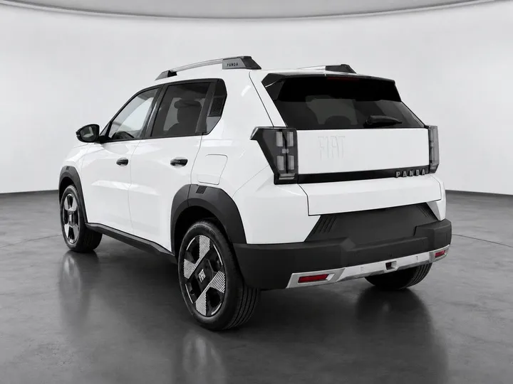 Fiat Other