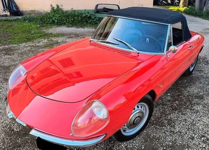 Alfa Romeo Spider
