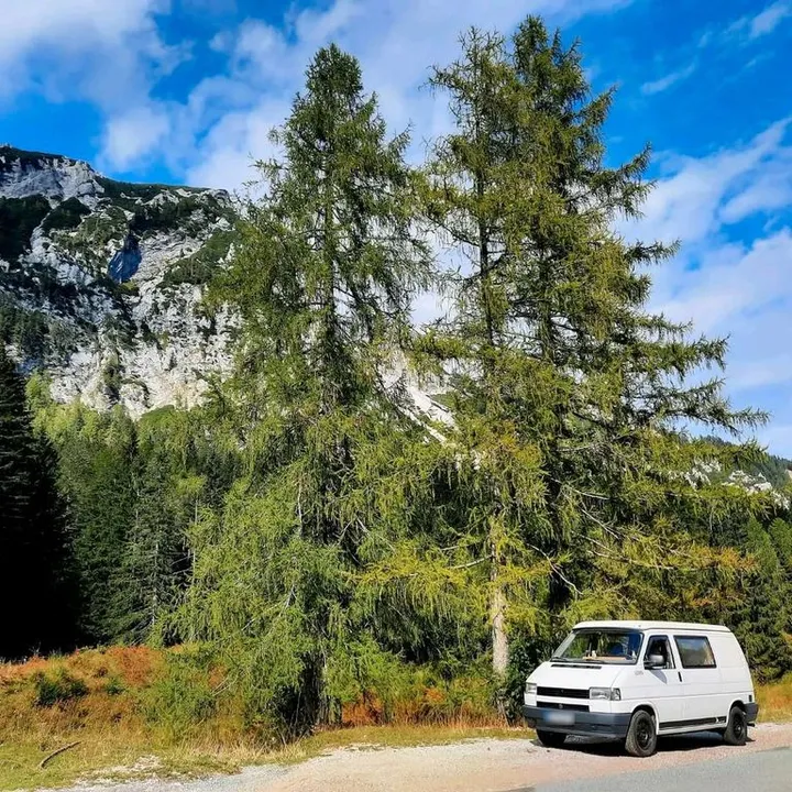 Volkswagen T4 California