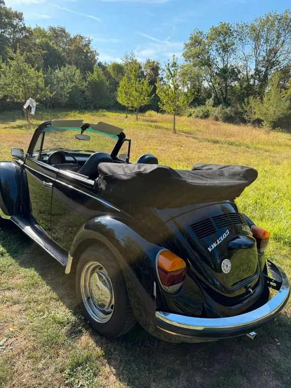 Volkswagen Other