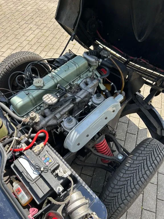 Triumph Other