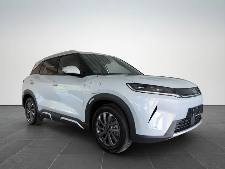 BYD ATTO 2