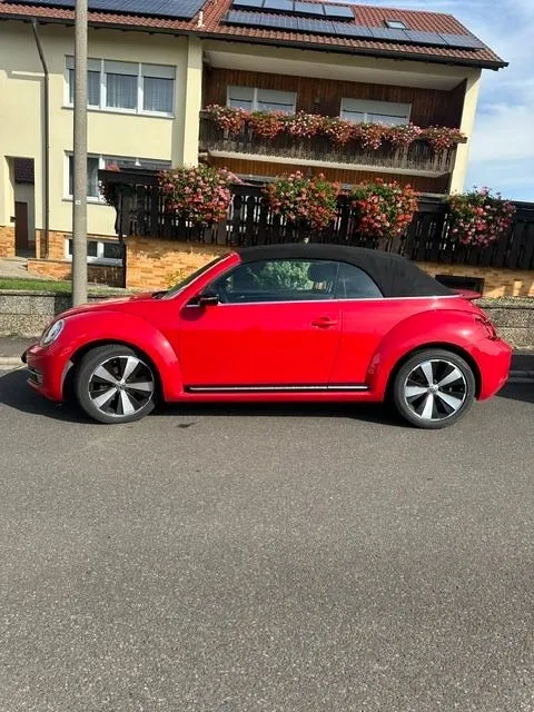 Volkswagen Beetle