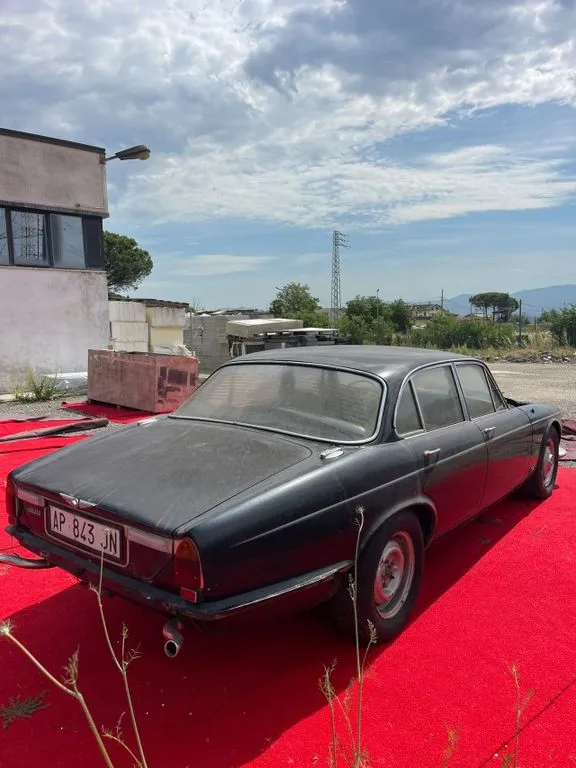 Jaguar Other