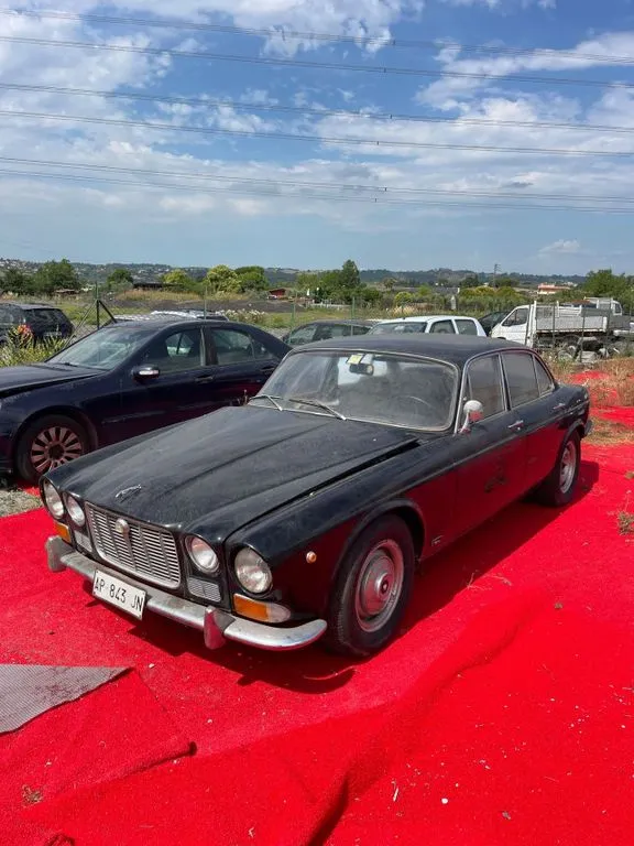 Jaguar Other