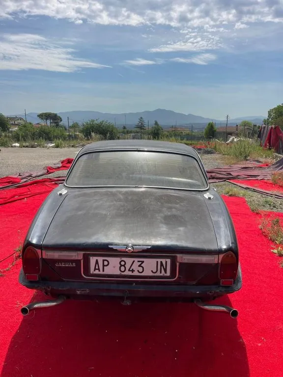 Jaguar Other