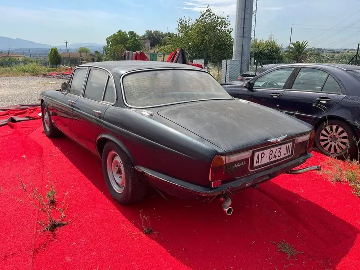 Jaguar Other