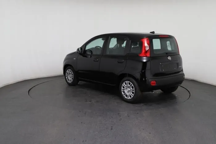 Fiat Pandina