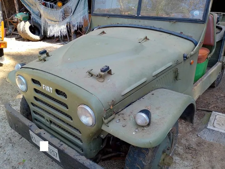 Fiat Other
