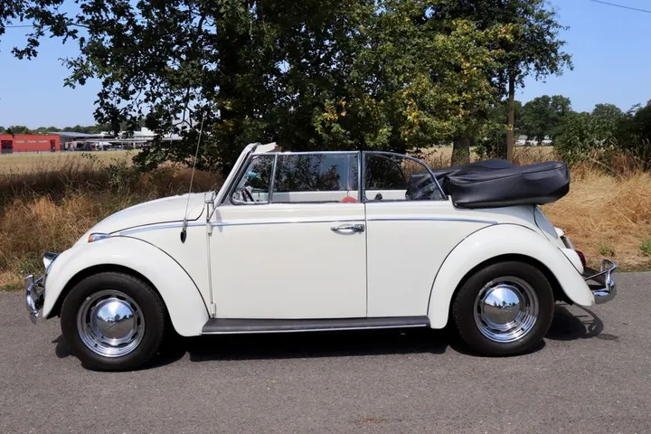 Volkswagen Käfer