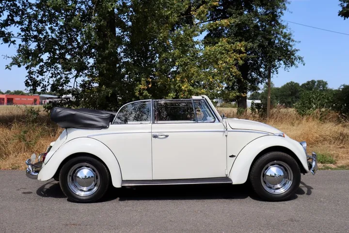Volkswagen Käfer