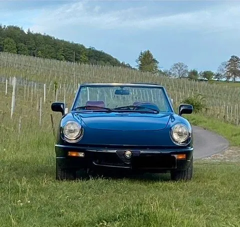 Alfa Romeo Spider