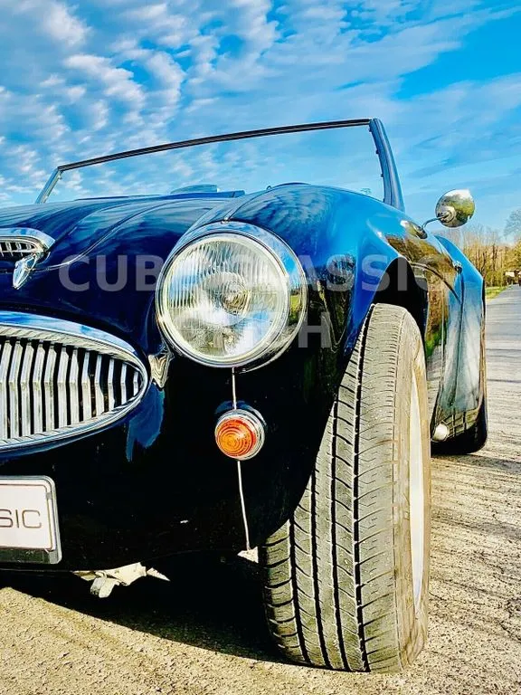 Austin Healey Other