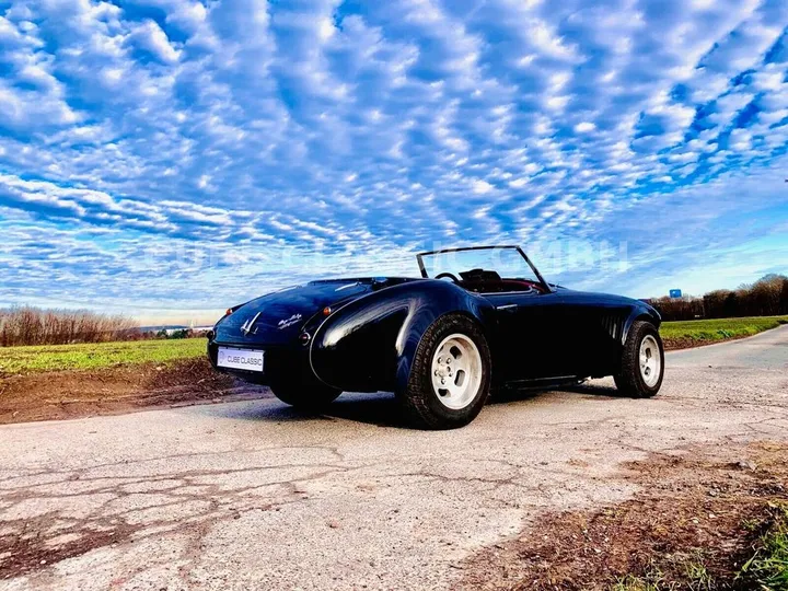 Austin Healey Other