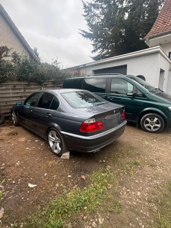 BMW 323