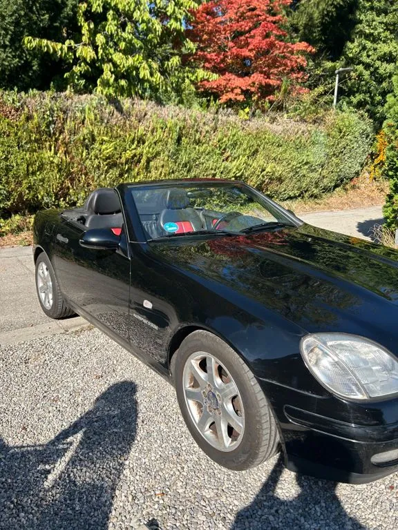 Mercedes-Benz 230