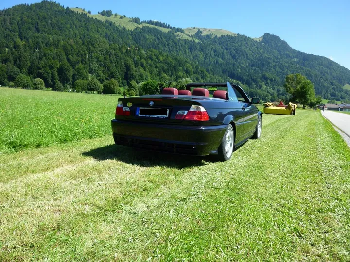 BMW 323
