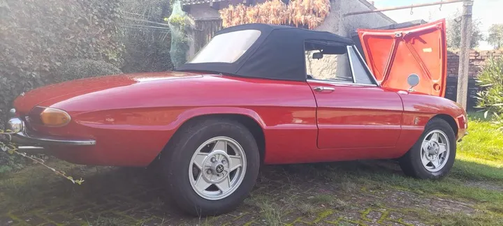Alfa Romeo Spider