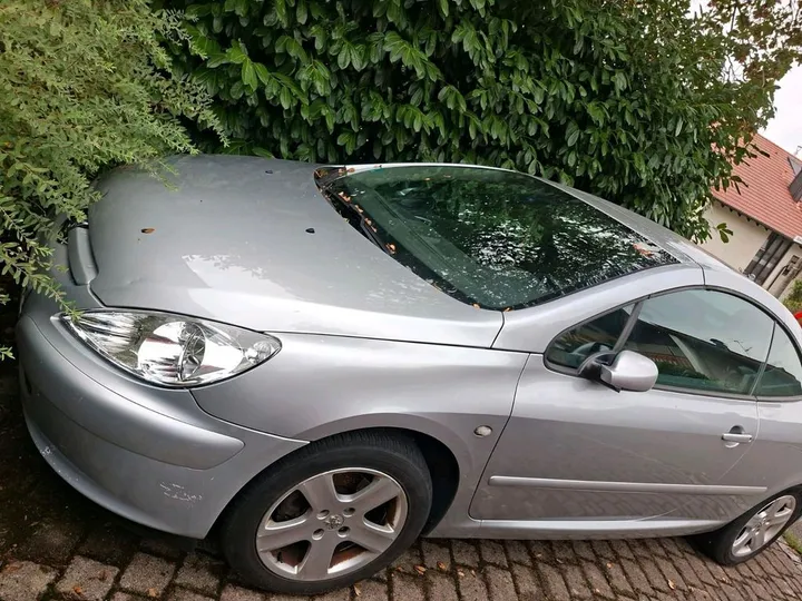 Peugeot 307