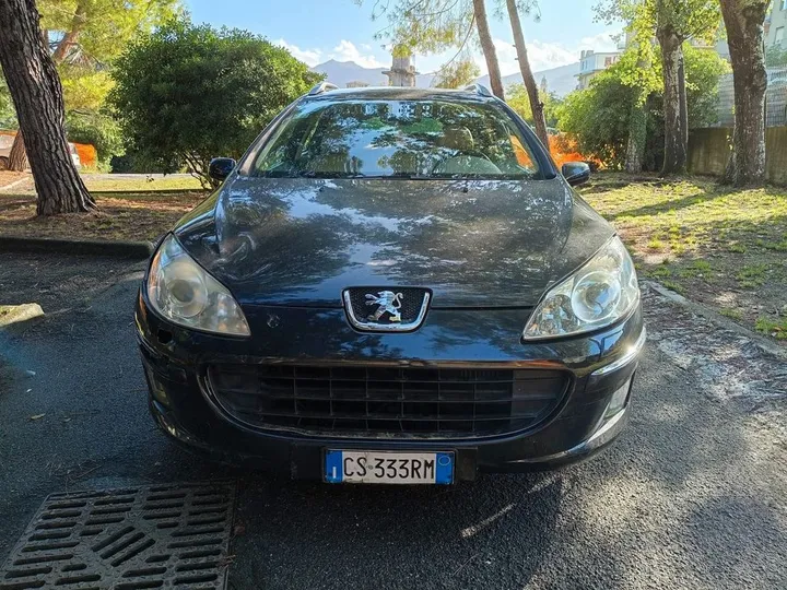 Peugeot 407