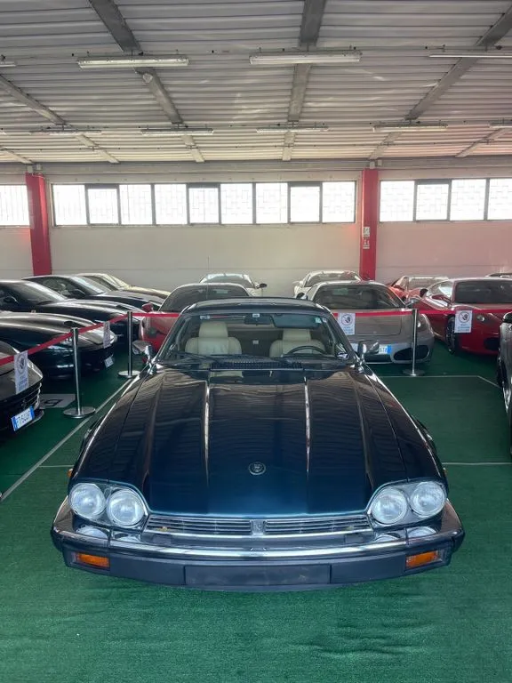 Jaguar Other