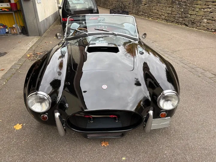 Cobra Other