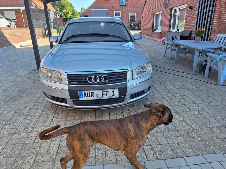 Audi A8