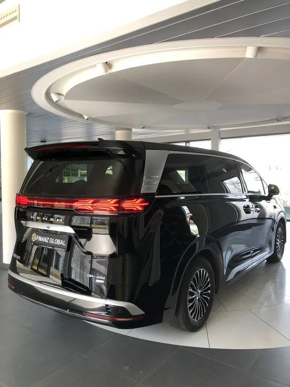 BYD Other
