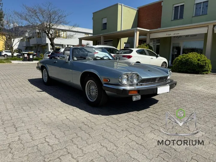 Jaguar Other