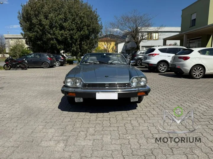 Jaguar Other
