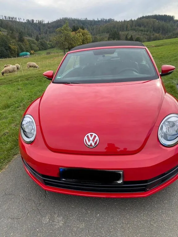 Volkswagen Beetle